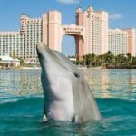 How to Plan an Ideal Passover Getaway for Your Family